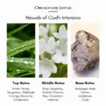 Nawab of Oudh Intensivo - A premium luxury perfume available at Beautinow.