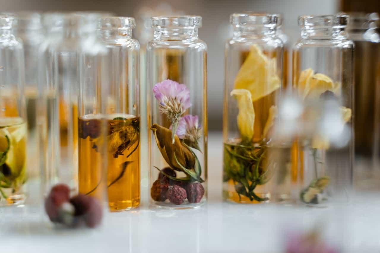 7 olfactory families perfume