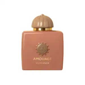 Amouage Guidance