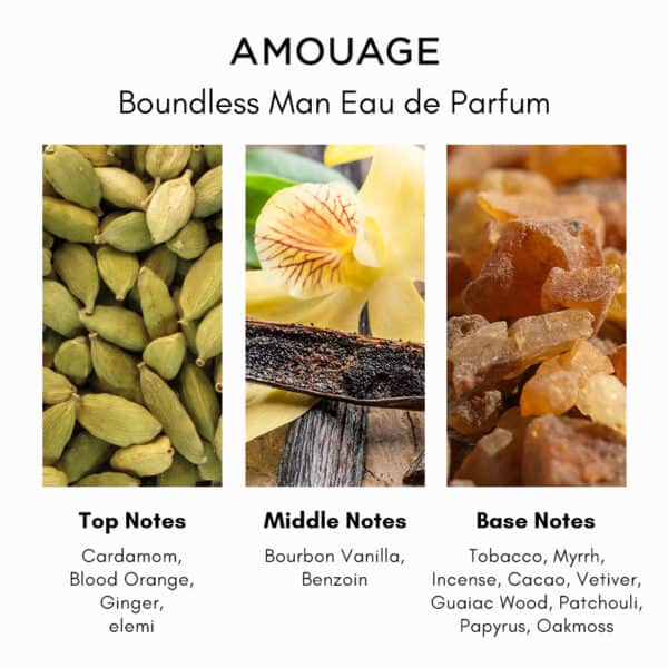 Amouage Boundless Man Eau de Parfum - Image 5