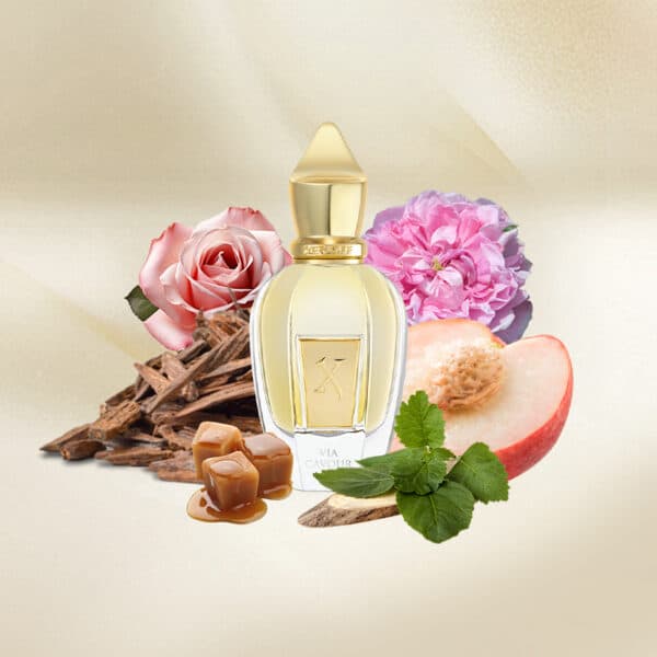 Xerjoff Via Cavour I. Eau de Parfum - Image 2