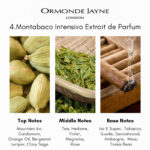 Ormonde Jayne 4.Montabaco Intensivo Extrait de Parfum - Image 5