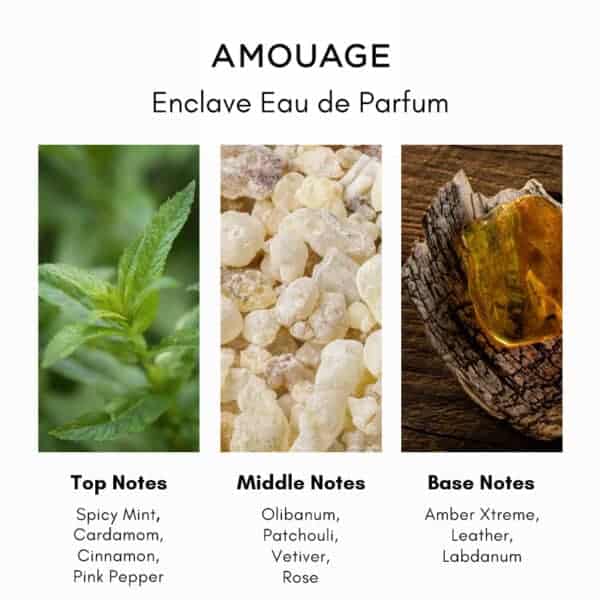 Amouage Enclave Eau de Parfum - Image 4
