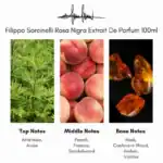 Rosa Nigra perfume bottle - A luxurious fragrance available at Beautinow.