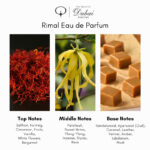 The Spirit of Dubai Rimal Eau de Parfum - Image 5