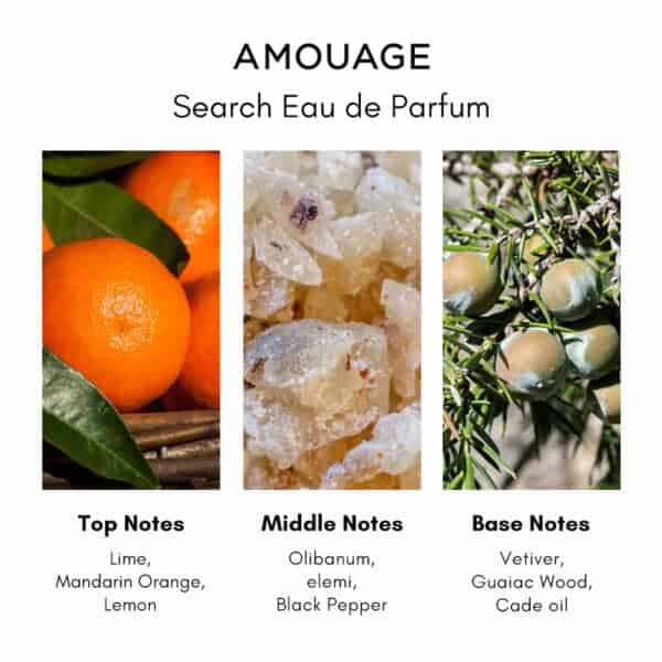 Amouage Search Eau de Parfum - Image 5