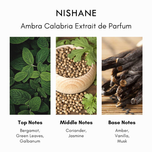 Nishane Ambra Calabria Extrait de Parfum - Image 4