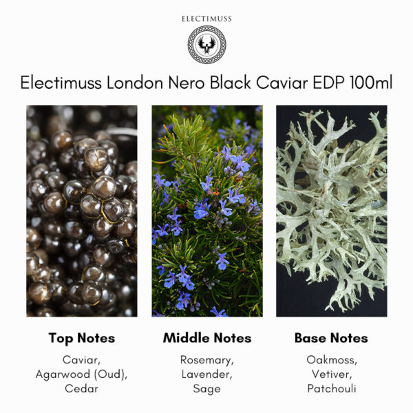 Electimuss London Nero Black Caviar Extrait de Parfum - Image 5