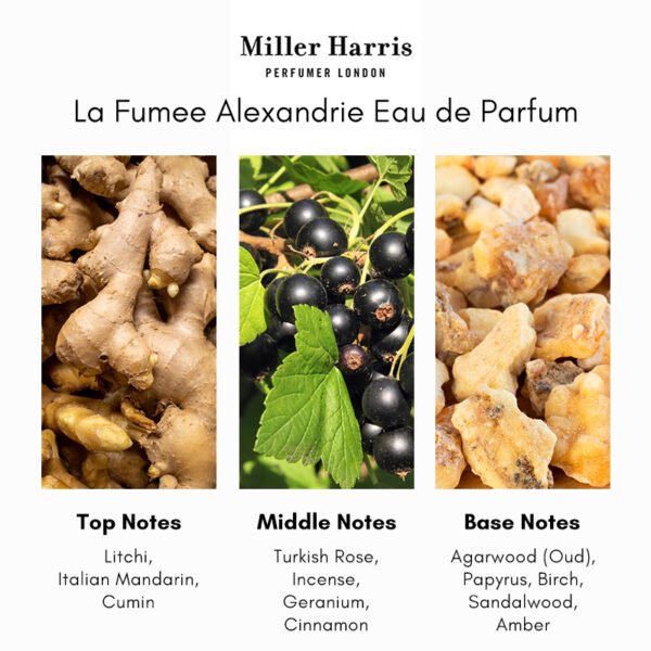 Miller Harris La Fumee Alexandrie Eau de Parfum - Image 4
