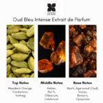 Fragrance du Bois Oud Bleu Intense Extrait de Parfum - Image 5