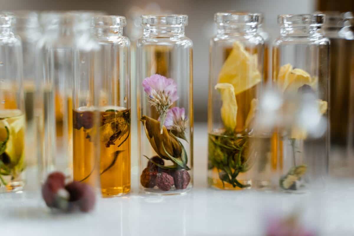 scent and wellness trend