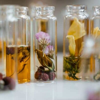 scent and wellness trend