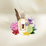 Xerjoff 17/17 Stone Label Damarose Eau de Parfum - Image 3