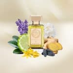 Argos Fragrances Pour Femme Eau de Parfum - Image 4