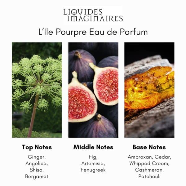 Liquides Imaginaires ILE Pourpre Eau de Parfum - Image 4