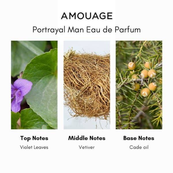 Amouage Portrayal Man Eau de Parfum - Image 4