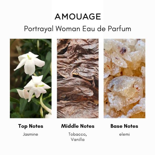 Amouage Portrayal Woman Eau de Parfum - Image 5