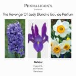 Penhaligon's The Revenge Of Lady Blanche Eau de Parfum - Image 3