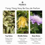 Perris Monte Carlo Ylang Ylang Nosy Be Eau de Parfum - Image 5