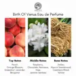 Argos Birth Of Venus Eau de Parfum - A premium fragrance available at Beautinow.