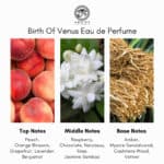 Argos Fragrances Birth Of Venus Perfume - Image 4