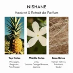 Nishane Hacivat X Extrait de Parfum - Image 4