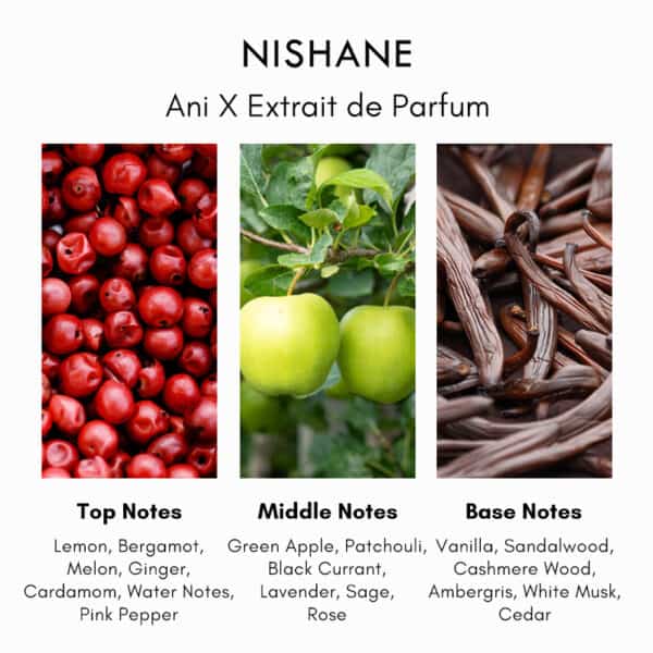 Nishane Ani X Extrait de Parfum - Image 3