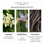 Rosendo Mateu #3 EDP - A premium fragrance available at Beautinow.