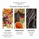 Rosendo Mateu #6 EDP - A premium niche fragrance available at Beautinow.