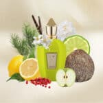 X Amabile fragrance bottle with citrus, apple, and botanical accents, surrounded by fresh fruits and.