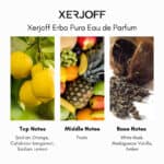 Xerjoff Erba Pura Eau de Parfum - A premium niche perfume available at Beautinow.