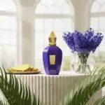 Accent perfume bottle by Alwa, a luxurious fragrance in a sleek purple and gold design.