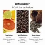 BorntoStoundut DGAF Eau de Parfum.