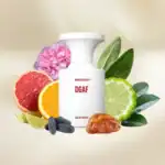 BorntoStandout DGAF fragrance - A premium perfume available at Beautinow.