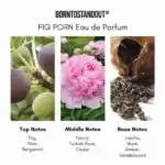 BorntoStoundut Fig Porn Eau de Parfum - A luxurious niche fragrance available at Beautinow.