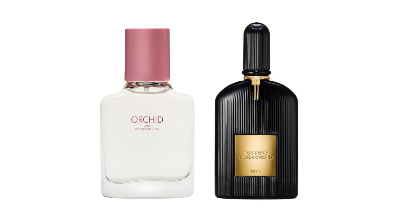 Zara Orchid X The Black Orchid Dupe