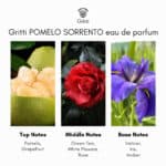 Gritti Pomelo Sorrento Eau de Parfum - Image 5