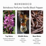 Bohoboco Perfume Vanilla Black Pepper Eau de Parfum - Image 3