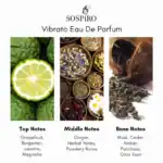 Luxurious niche perfume with citrus, floral, herbal, and woody accords.