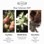 Ex Nihilo Blue Talisman Eau de Parfum - Image 4