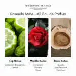 Rosendo Mateu Eau de Parfum - A premium fragrance available at Beautinow.