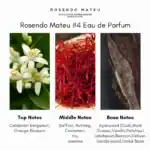 Rosendo Mateu Eau de Parfum - A premium fragrance available at Beautinow.