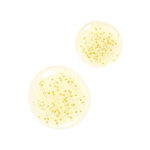 Guerlain Abeille Royale Advanced Youth Watery Oil - Image 4