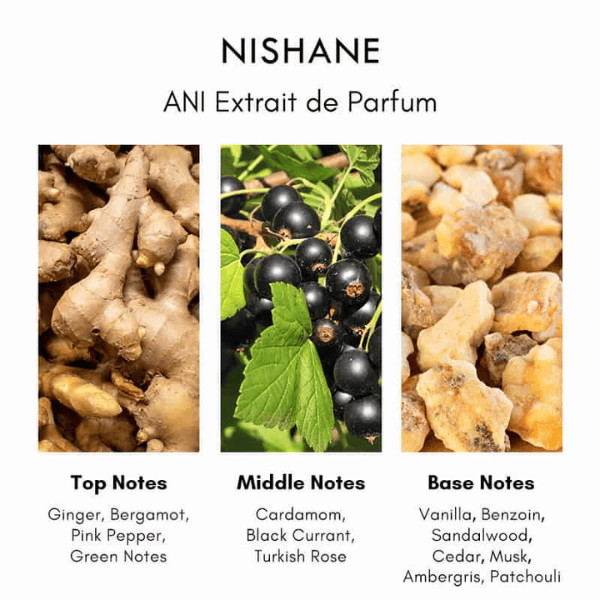 A Full Review of Nishane ANI