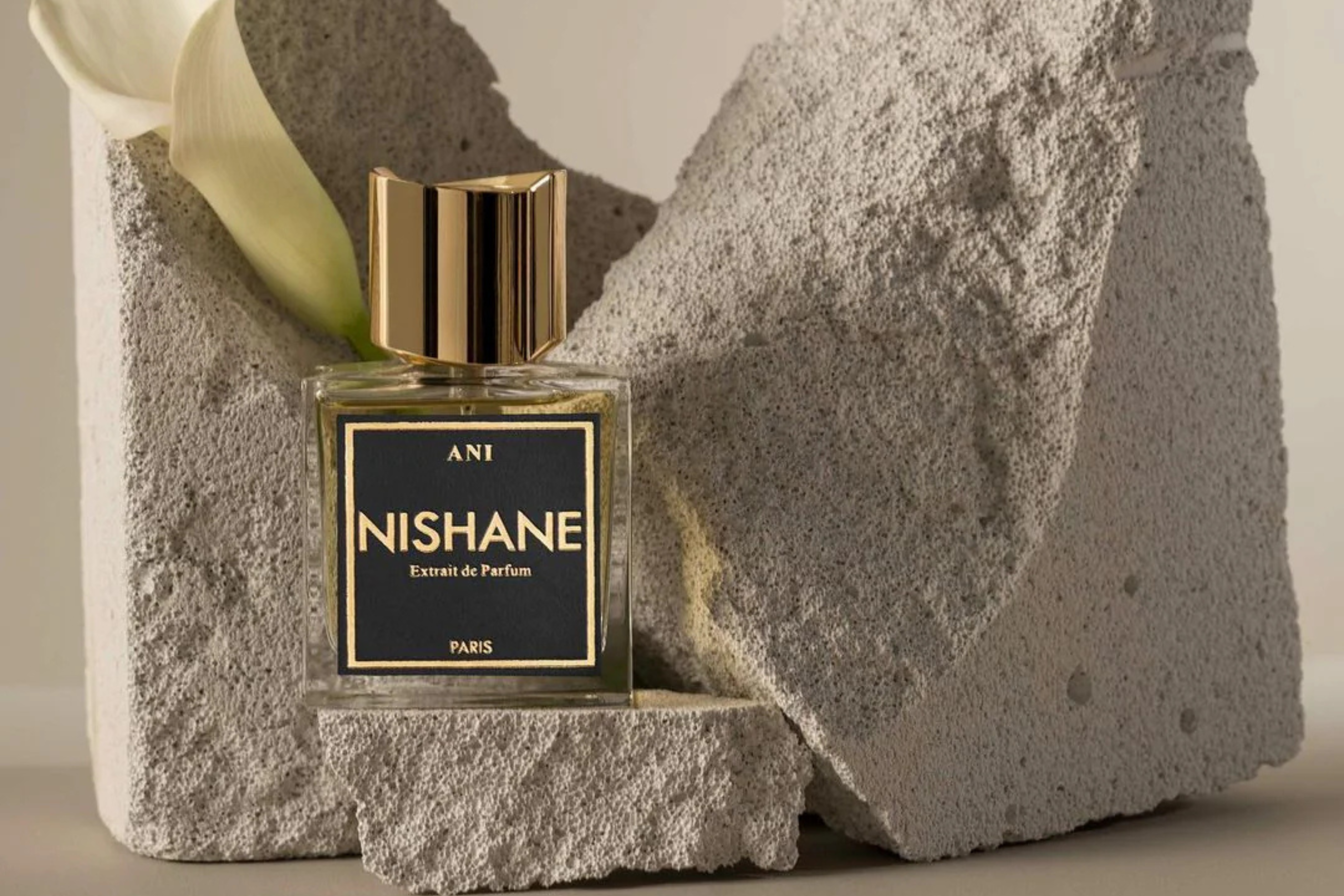 A Full Review of Nishane ANI