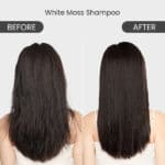 Acca Kappa White Moss Shampoo - Image 5