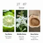 27 87 Sonar Eau de Parfum - Image 4