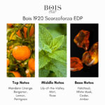 Bois 1920 Scorzaforza Eau de Parfum - Image 4