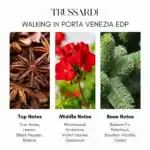 Trussardi Walking in Porta Venezia EDP - A luxurious perfume for sophisticated elegance.