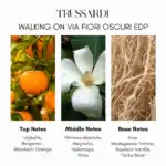 Trussardi Walking on Via Fiori Oscuri EDP - A luxurious fragrance available at Beautinow.